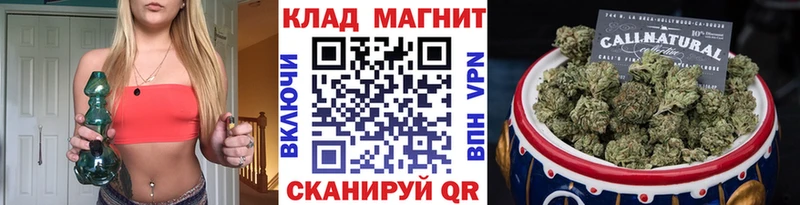 Где купить наркоту Зеленогорск мега ONION  Кокаин  Мефедрон  Псилоцибиновые грибы  Каннабис  А ПВП 