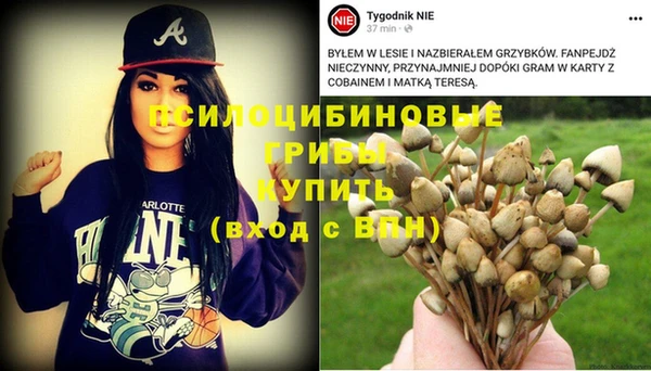 бошки Абдулино