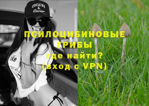 a pvp Абинск