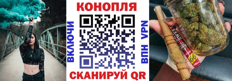 как найти закладки  Зеленогорск  Шишки марихуана план 